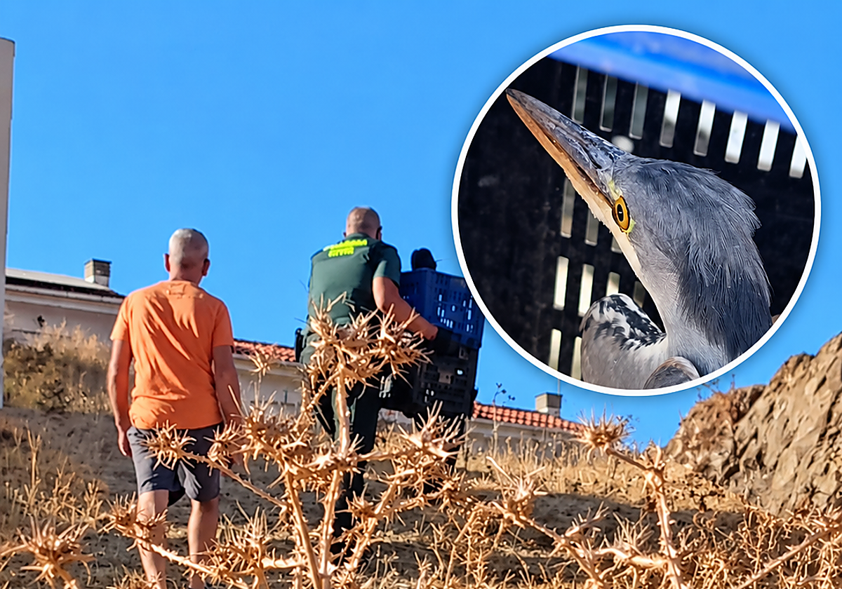 Seis niños de Ardales movilizan a la Guardia Civil para rescatar a una garza real herida