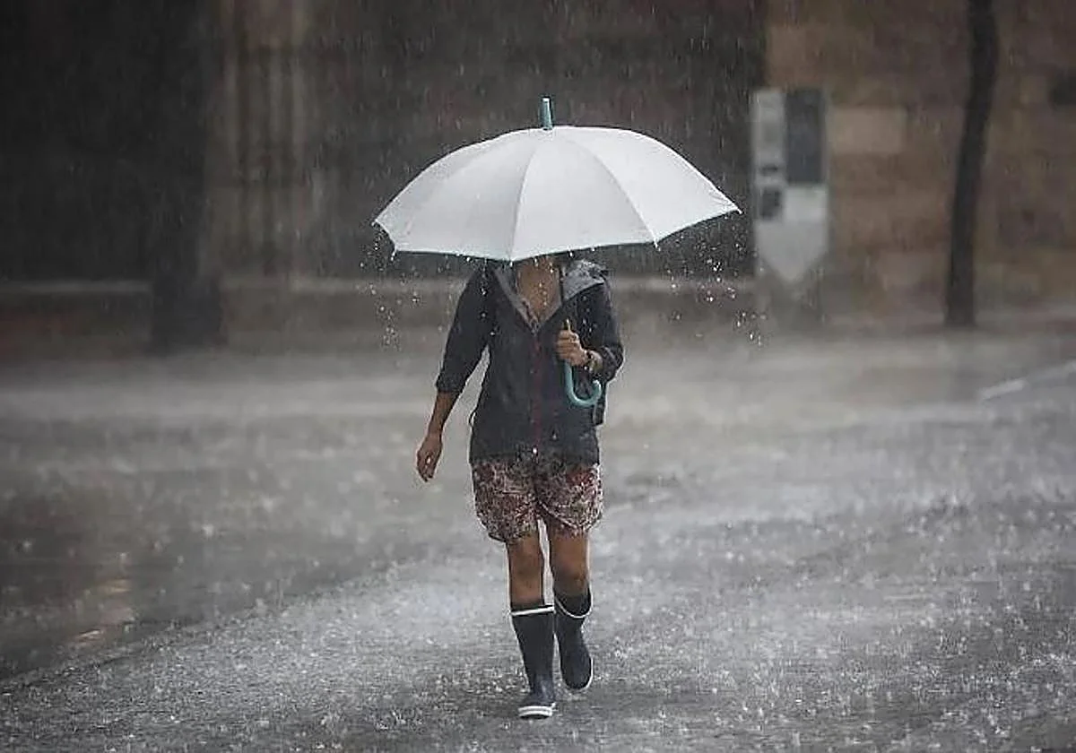 Los paraguas vuelven a Málaga: Aemet activa el aviso amarillo por lluvias y tormentas este lunes