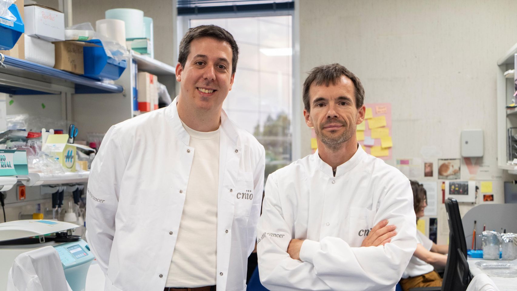 Golpe español al cáncer: hallan una diana terapéutica que "abre una vía prometedora" para prevenir metástasis cerebrales
