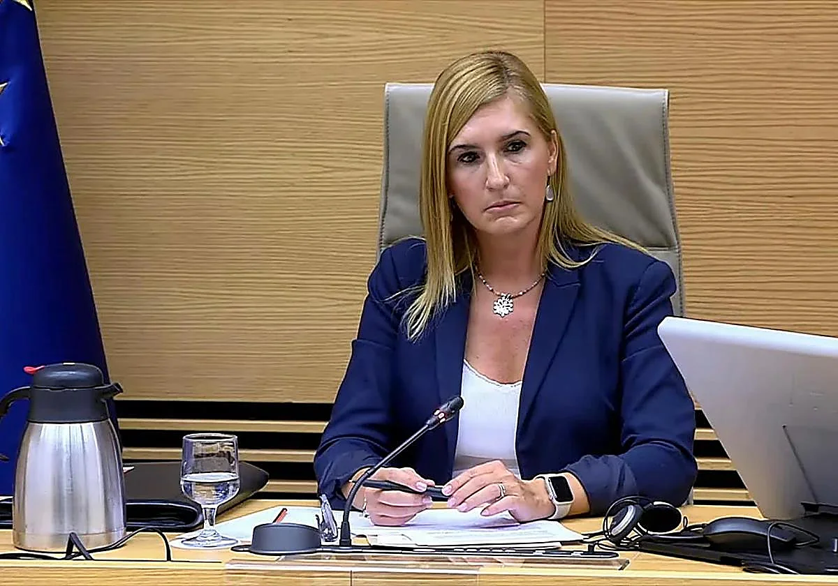 Pradas vuelve a guardar silencio en la comisión de investigación de la dana del Congreso