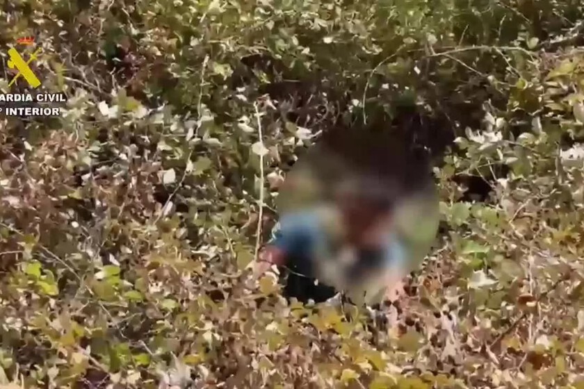 La Guardia Civil persigue más de 100 km a los autores de un 'simpa' en Cáceres y acaba sacando a uno de un zarzal