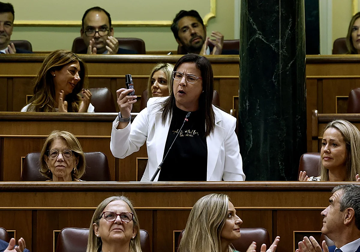 El Congreso inicia el proceso para sancionar a la diputada del PP por el incidente del gas pimienta