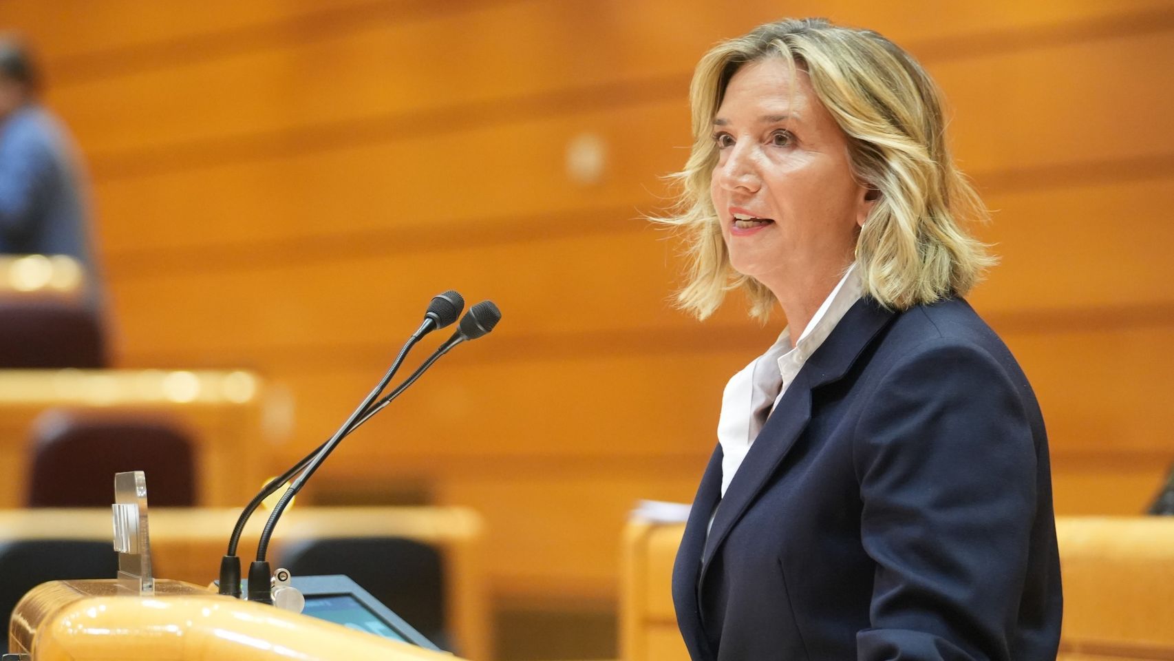 El Senado aprueba reformar la ley para poder rechazar a quien llegue a nado a Ceuta y Melilla pese al voto en contra del PSOE