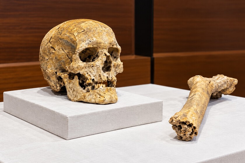 Han encontrado en una cueva de Asturias un hombre que murió hace 8.000 años. Está tan bien conservado que ya saben qué comía