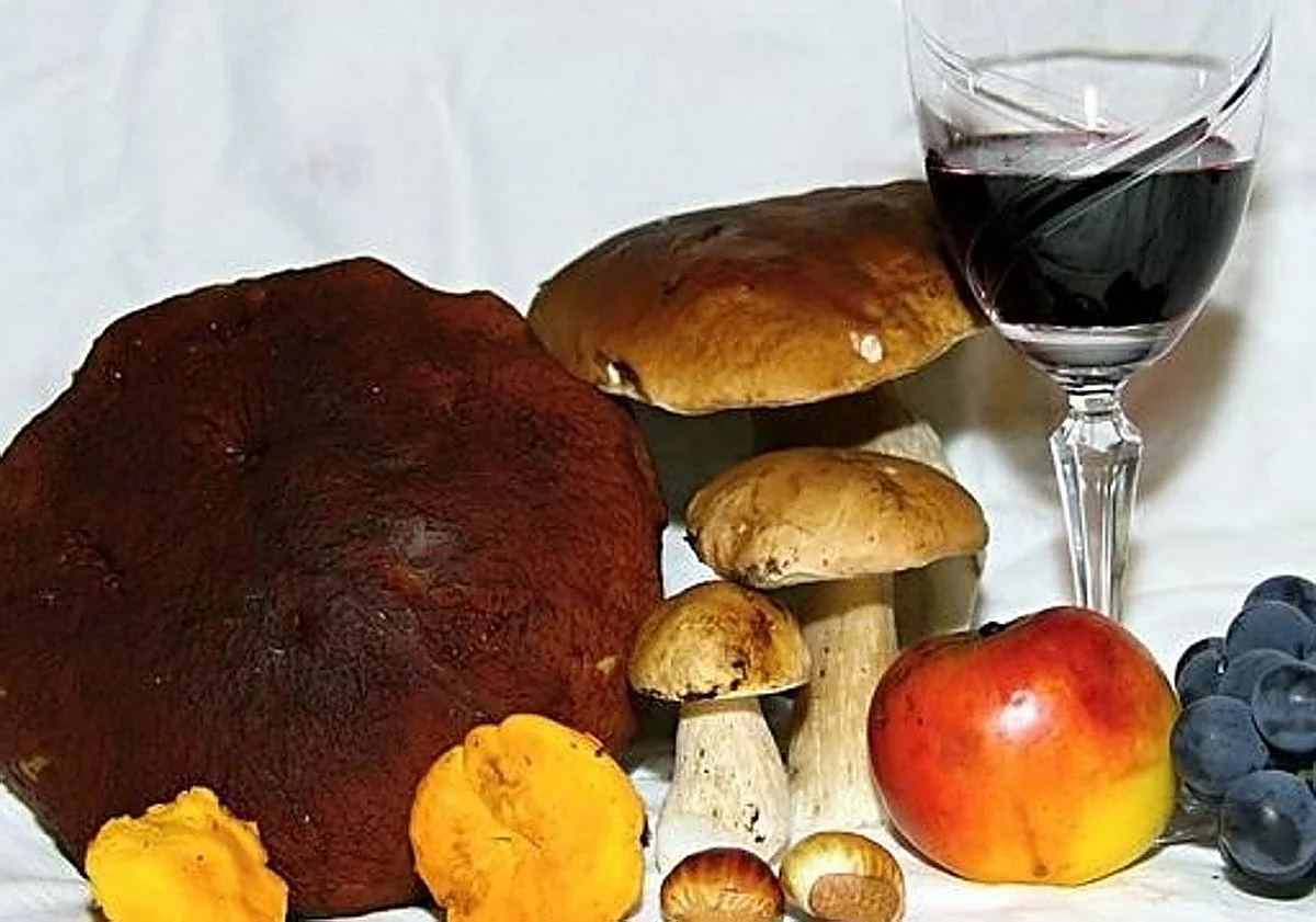Tiempo para la gastronomía otoñal: vinos con setas