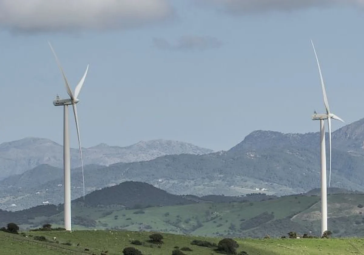 Un parque eólico de Málaga quitará 38 molinos, pero casi duplicará su producción eléctrica