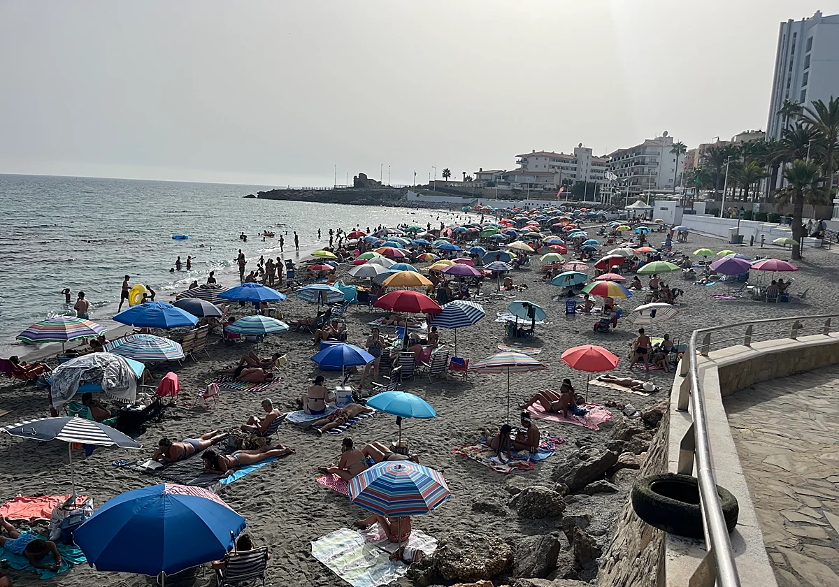 Reconocen a cuatro policías locales de Nerja por el rescate de una bañista en la playa de La Torrecilla