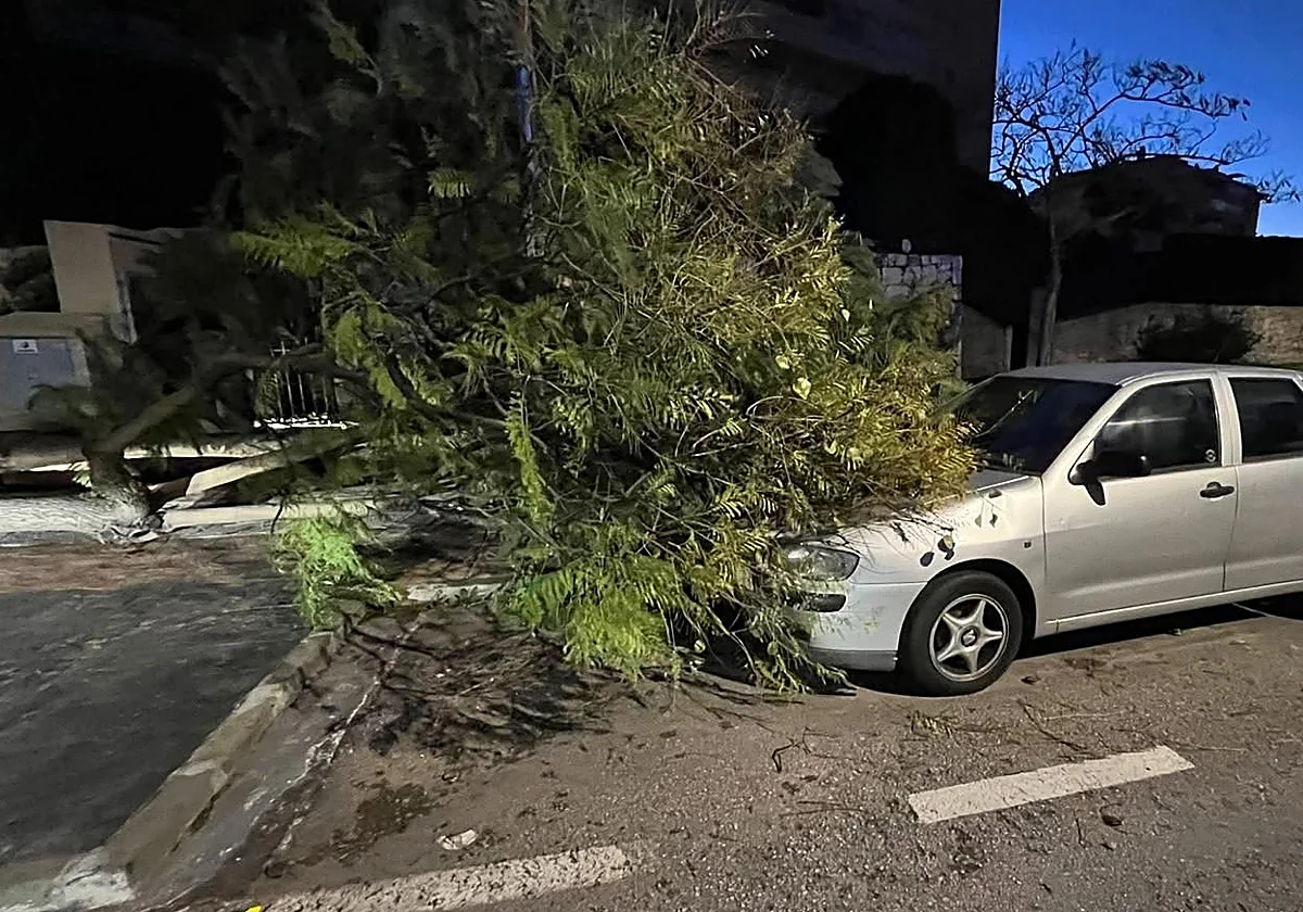 El Día de Reyes más frío de los últimos años deja numerosas incidencias por viento en la Costa