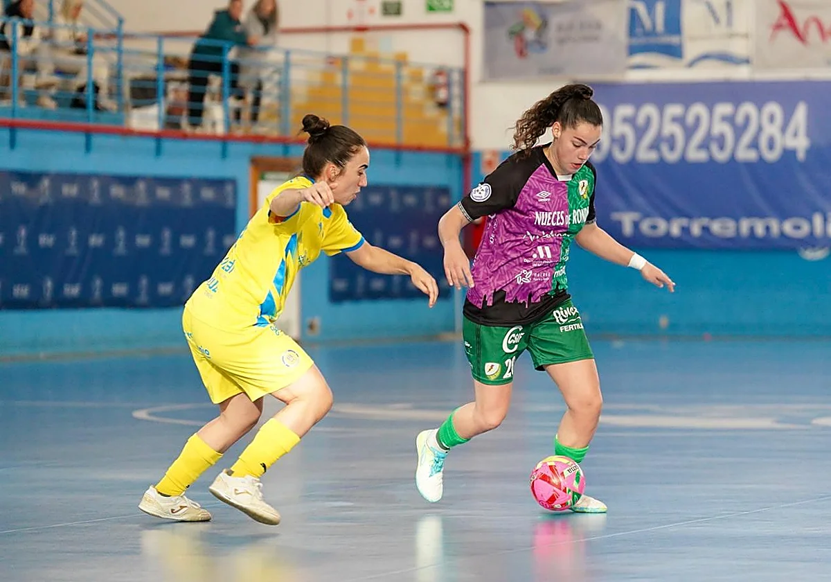 Polideportivo malagueño: El Nueces de Ronda Atlético Torcal cae en el derbi andaluz