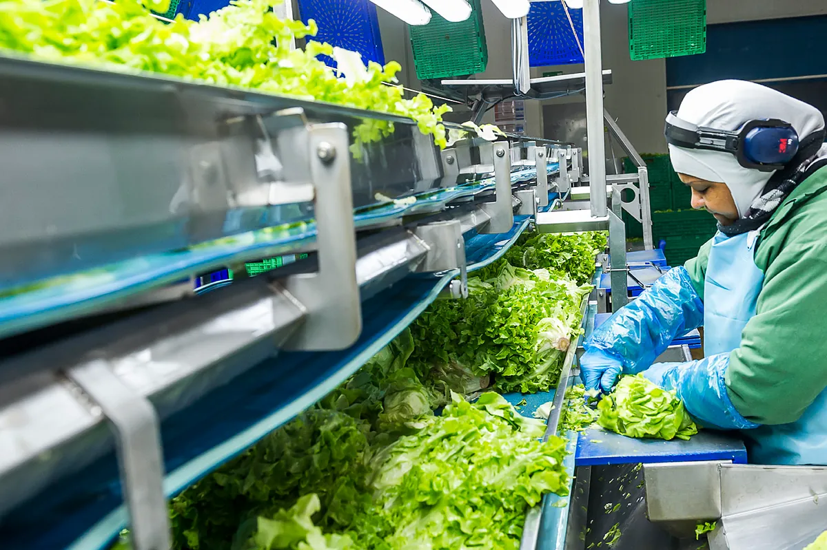 Taylor Farms, accionista de Foodiverse, compra el 16% de Pacific Valley Bank