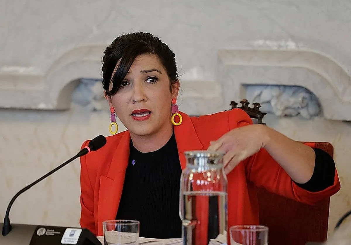 Toni Morillas: «El Ayuntamiento aplica un doble rasero a la ZBE que supone una burla a los malagueños»