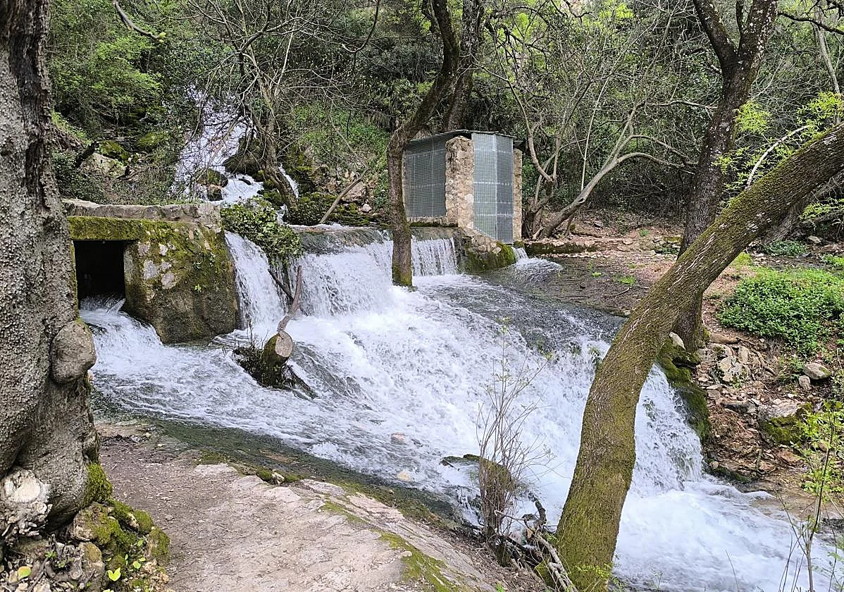 Nacimientos y saltos de agua espectaculares en Málaga tras las últimas lluvias
