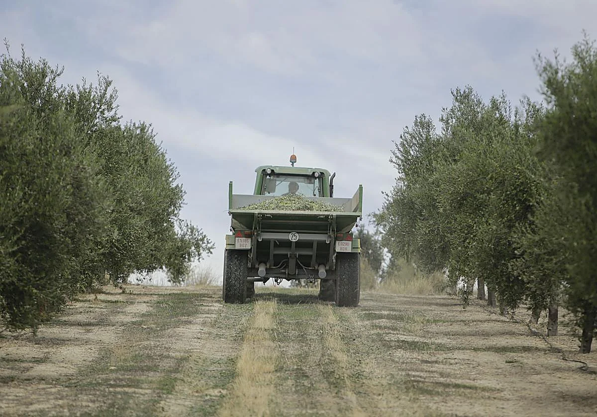 ¿Qué supone para España el acuerdo de Mercosur?