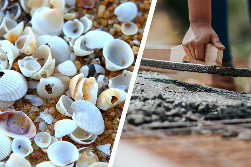 Llevábamos décadas buscando una alternativa al cemento. La acabamos de encontrar en las conchas marinas