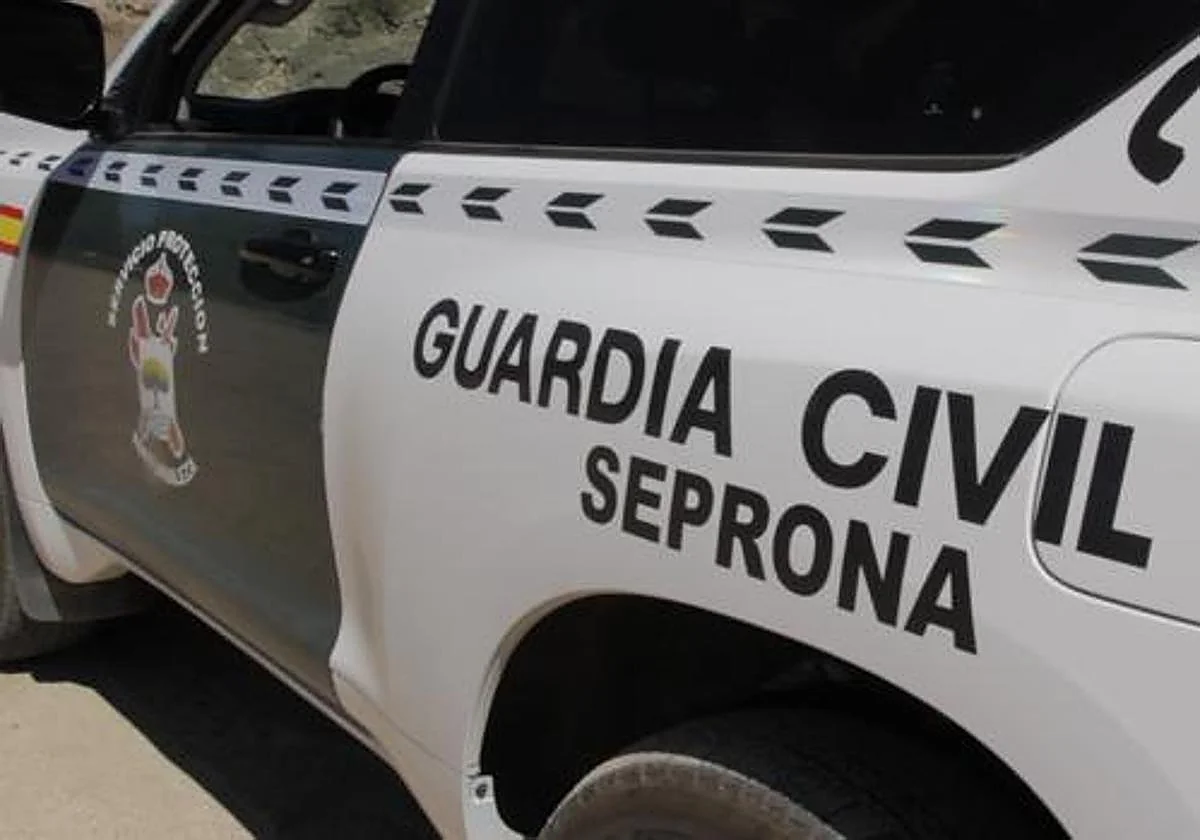La Guardia Civil investiga a una persona en Torrox por la captura ilegal de aves de especies protegidas