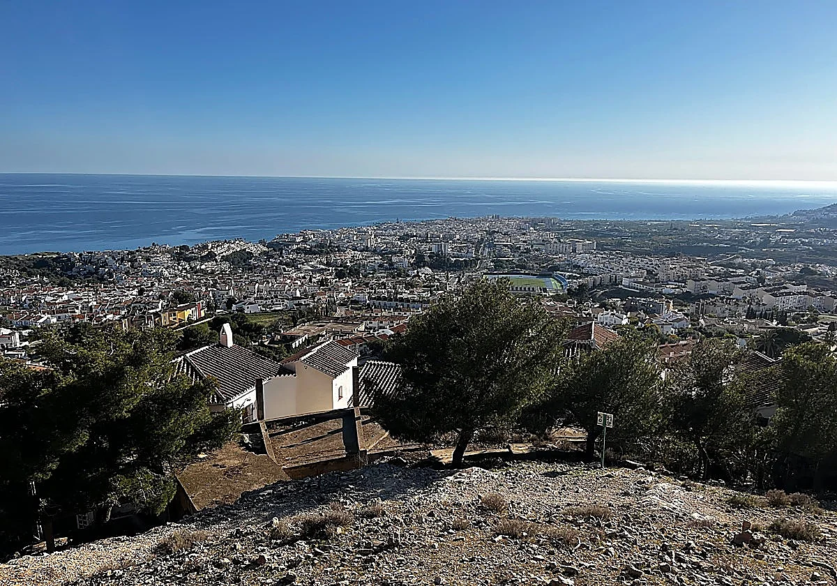 Eastern Costa del Sol intensifies pine tree treatment ahead of processionary caterpillar season