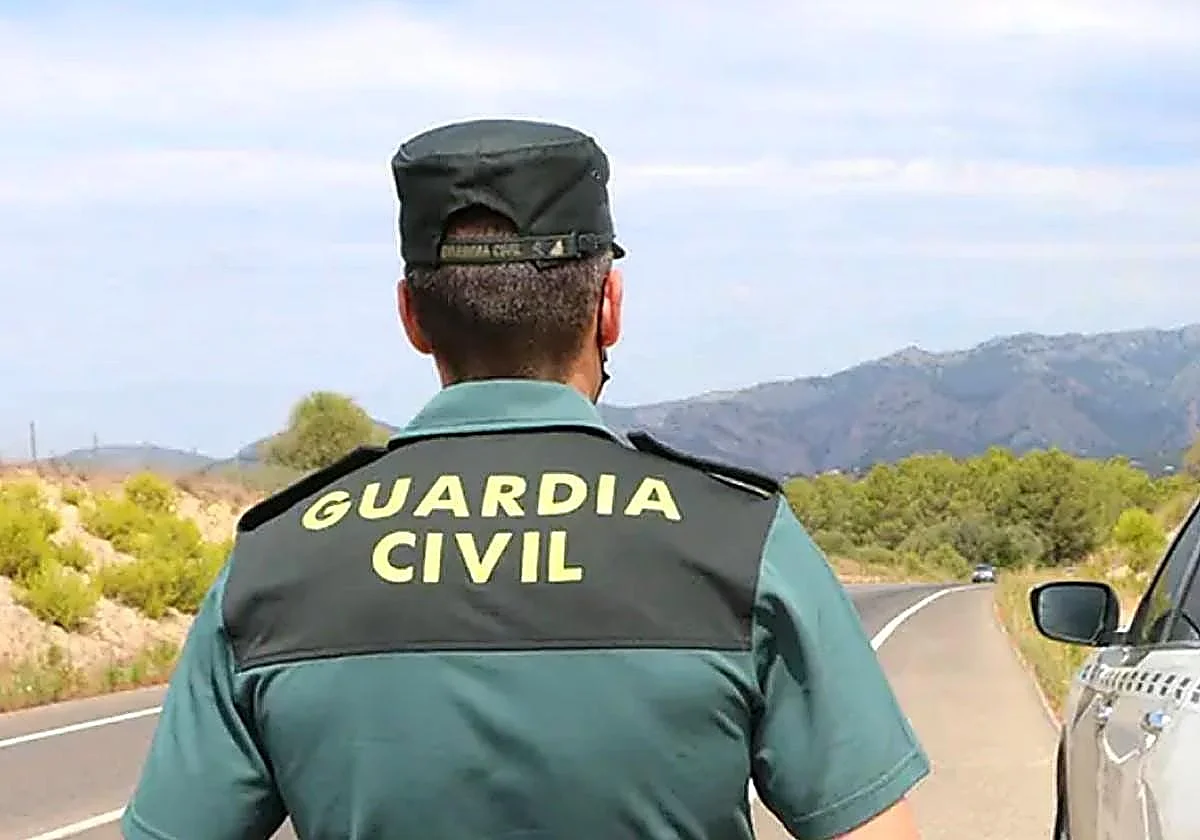 Estafa cibernética en Málaga: compran 9 Iphones 16 y dos videoconsolas con el duplicado de una tarjeta SIM