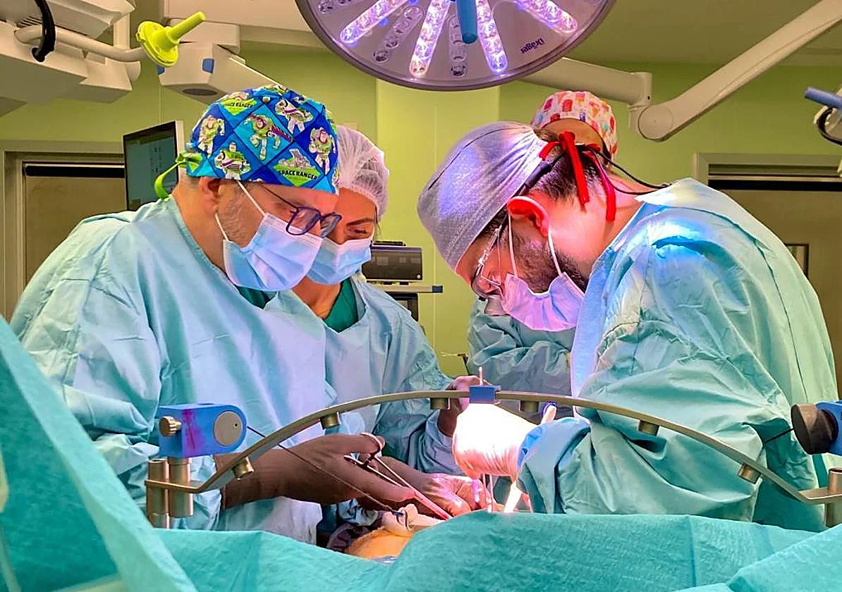 Malaga Regional Hospital breaks a record by performing 16 transplants in just six days