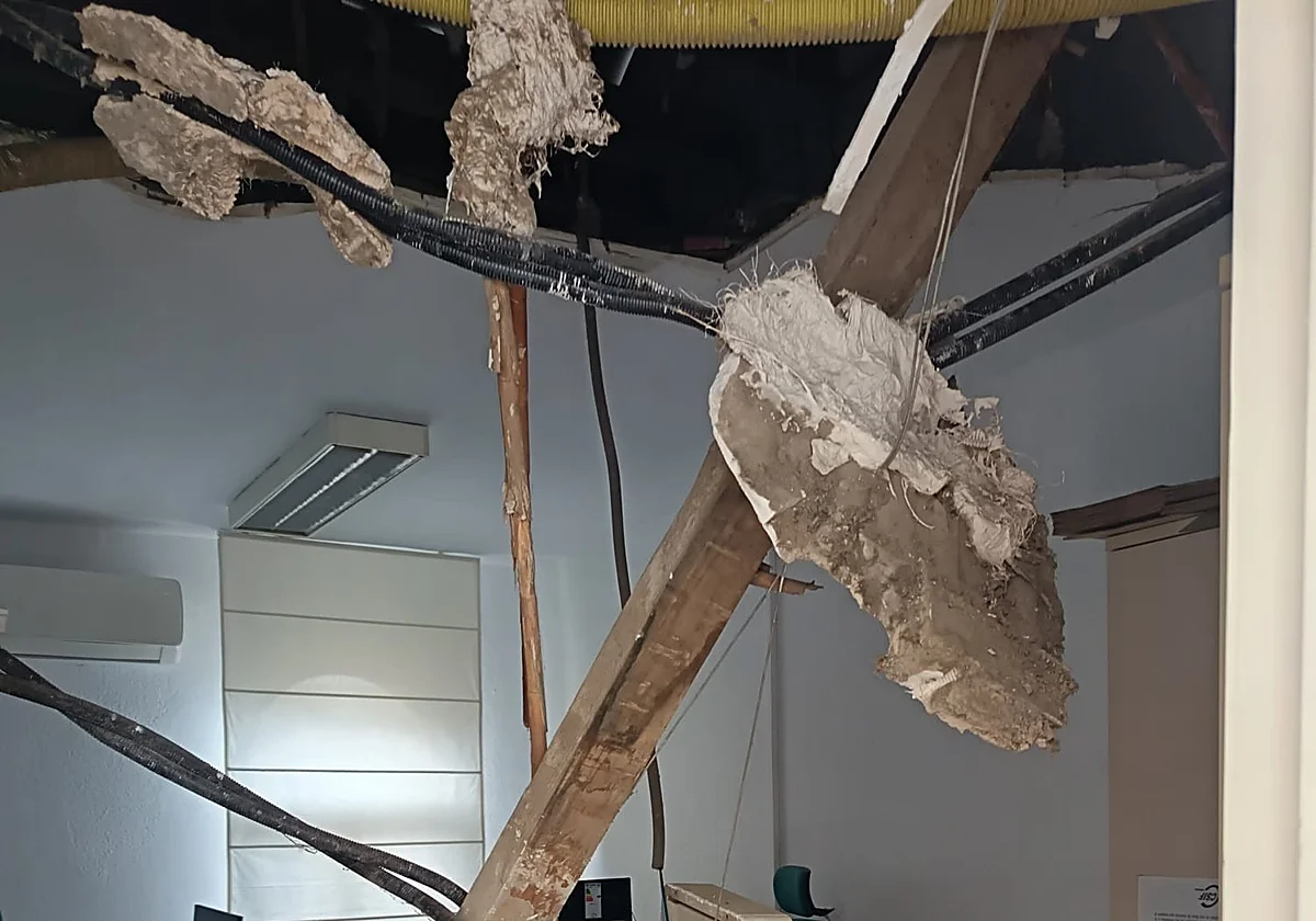 ¿Sabes por qué se cayó parte del techo del Ayuntamiento de Málaga el pasado 5 de enero?