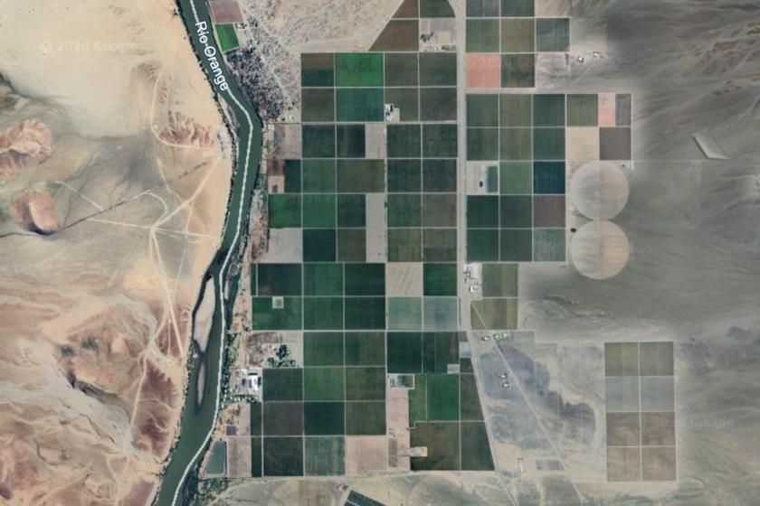 Cuadrados verdes en mitad del desierto: el "milagro" de Namibia para llenar de uvas los supermercados de Europa