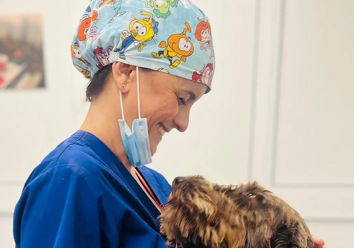 El Hospital Veterinario SOS Animal cumple 25 años creciendo y evolucionando la medicina veterinaria