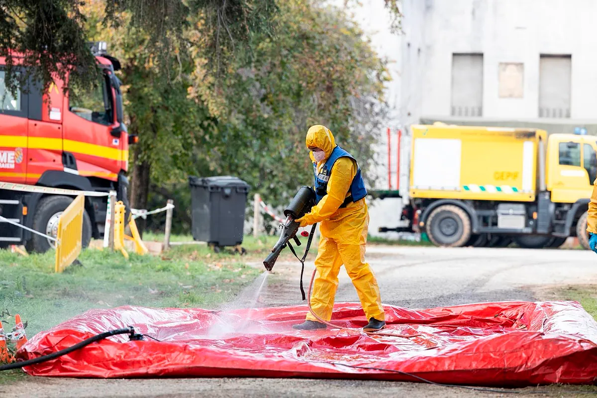 Crecen los casos de peste porcina africana y el sector ya nota la caída de precios