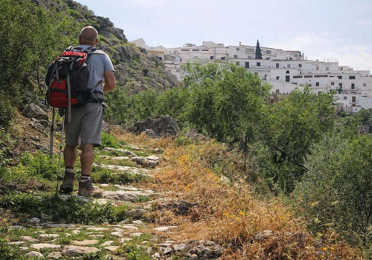 Ruta de la Fuente Gorda: Un paseo entre tajos, manantiales y caminos históricos en Comares