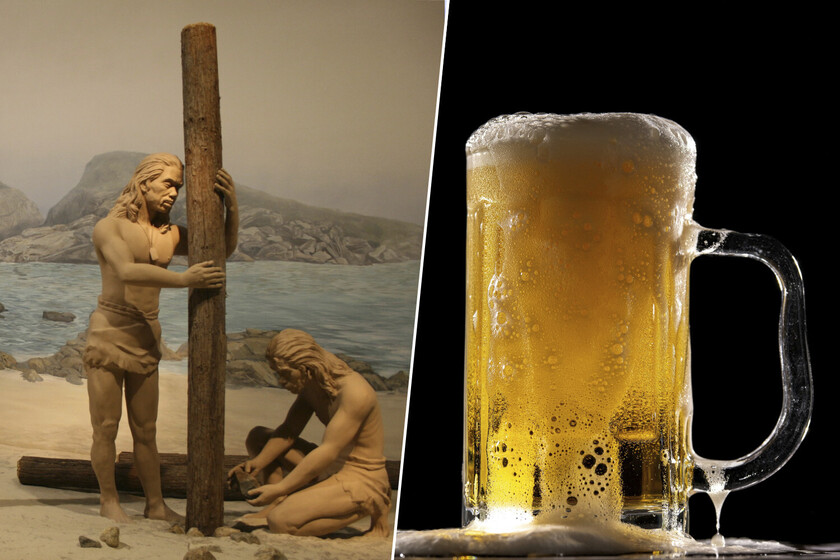 A los humanos nos gusta la cerveza. La gran pregunta es si nos gusta tanto como para haber inventando la agricultura