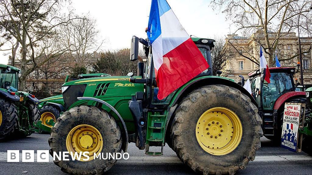 Por qué Francia y otros países europeos se oponen al acuerdo entre el Mercosur y la Unión Europea, que creará la zona de libre comercio más grande del mundo