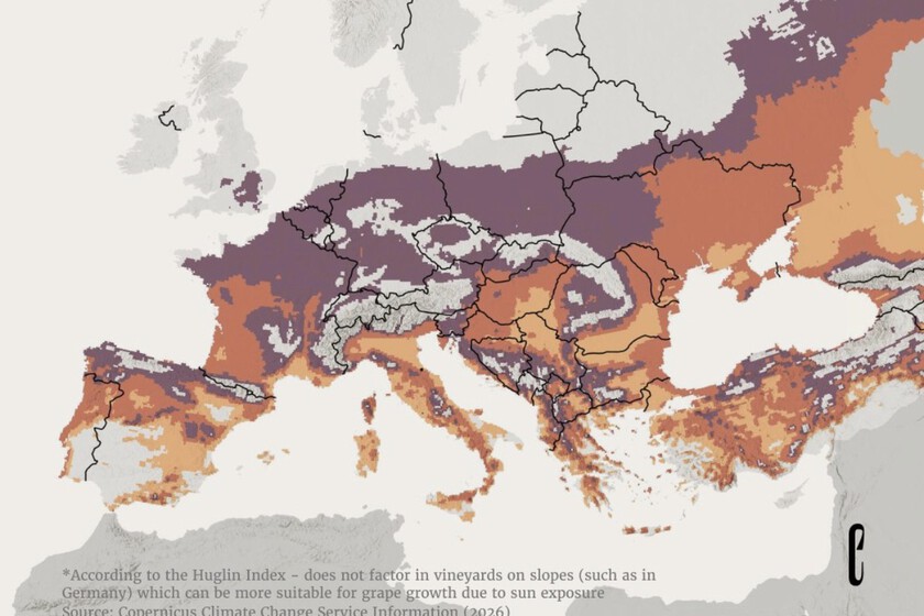 Por primera vez en la historia la posibilidad de un Mediterráneo sin vino empieza a darse en el horizonte