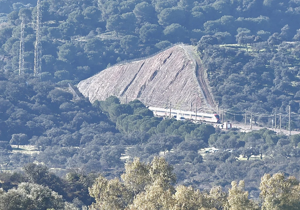 Los trenes entre Málaga y Madrid no volverán a circular hasta finales de semana