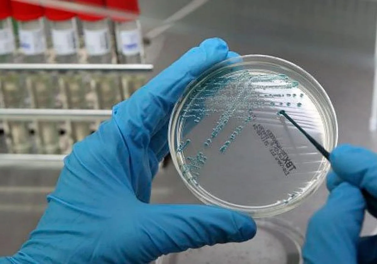 La Guardia Civil abre oficinas en cinco ciudades para facilitar ADN e identificar víctimas: Madrid, Málaga, Córdoba, Huelva y Sevilla