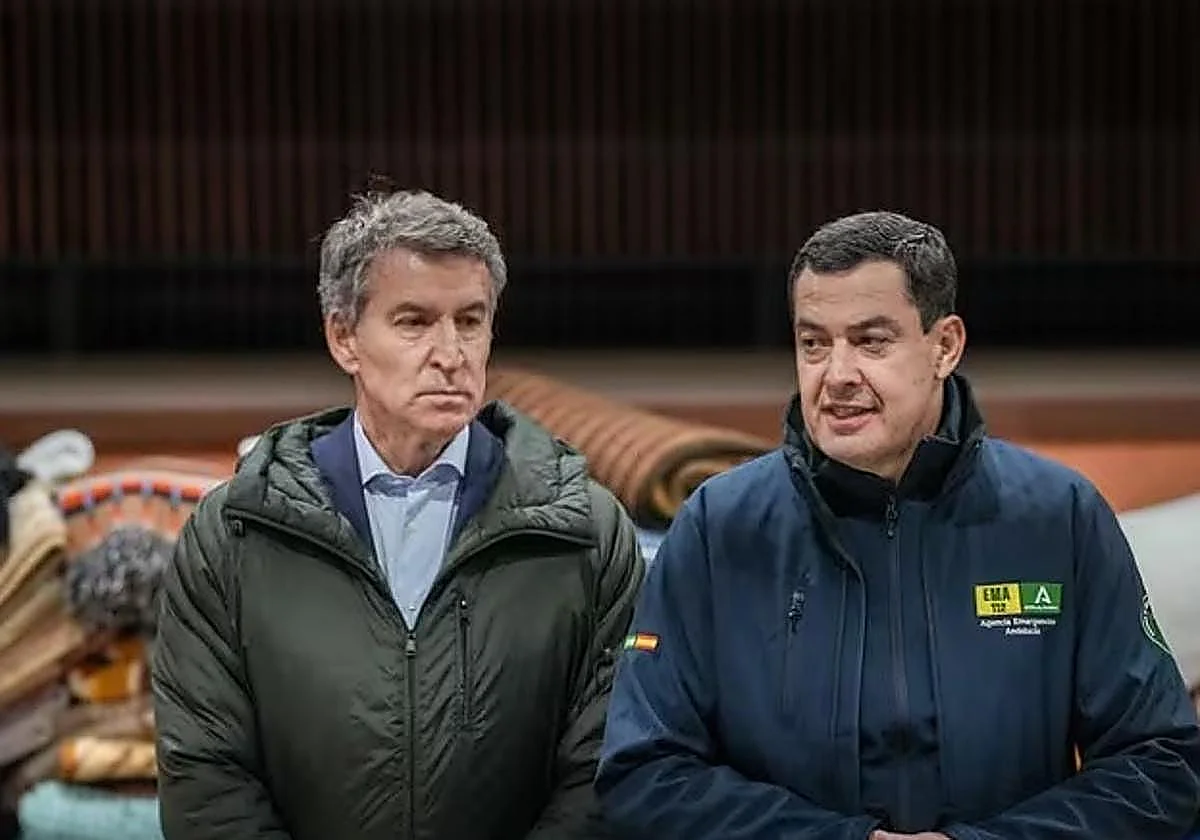 Moreno descarta hacer «ninguna hipótesis» sobre la causa del siniestro: «Es evidente que lo sabremos»