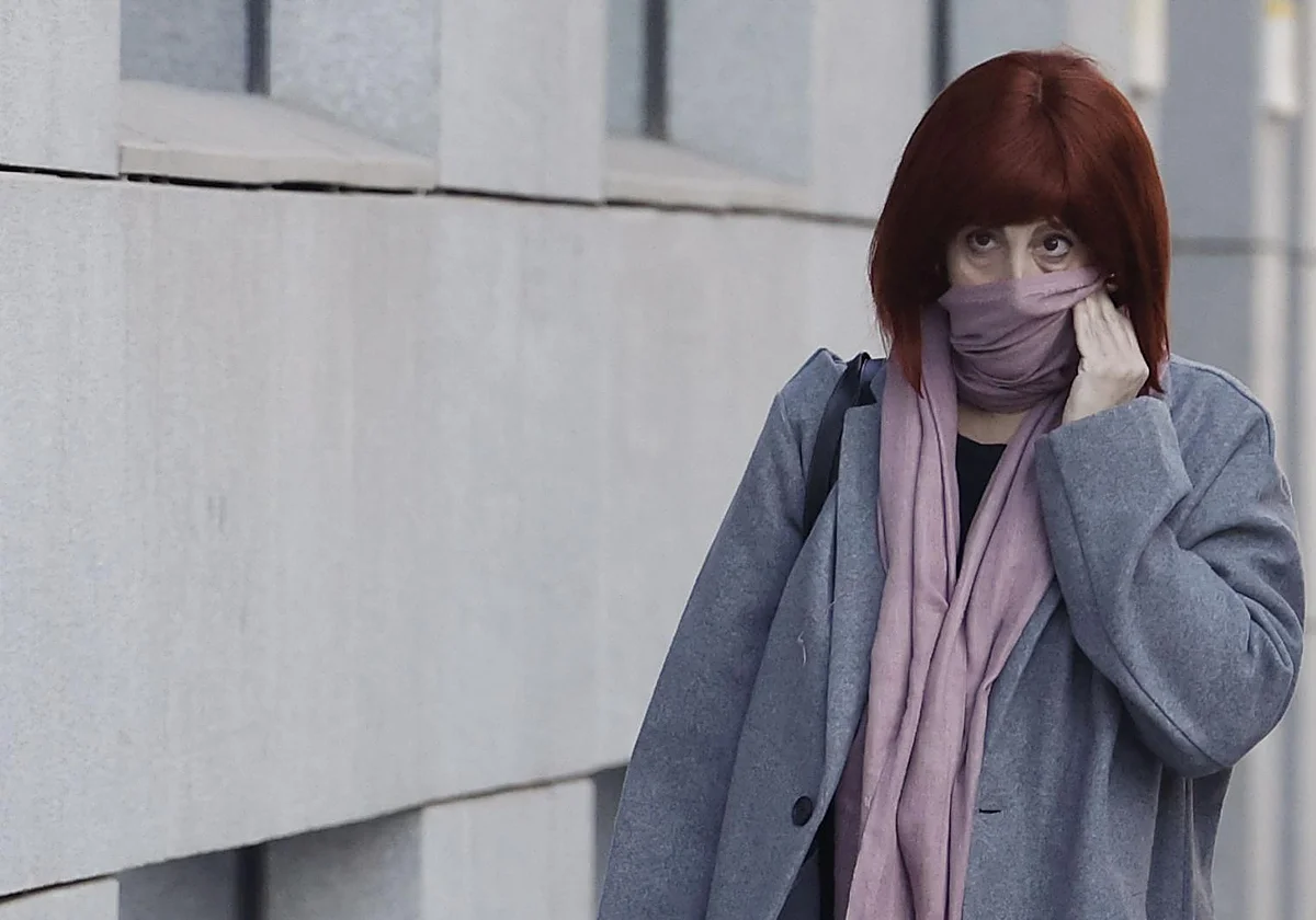 La exmujer de Koldo declara que el PSOE siempre liquidó en efectivo y niega las «txistorras»