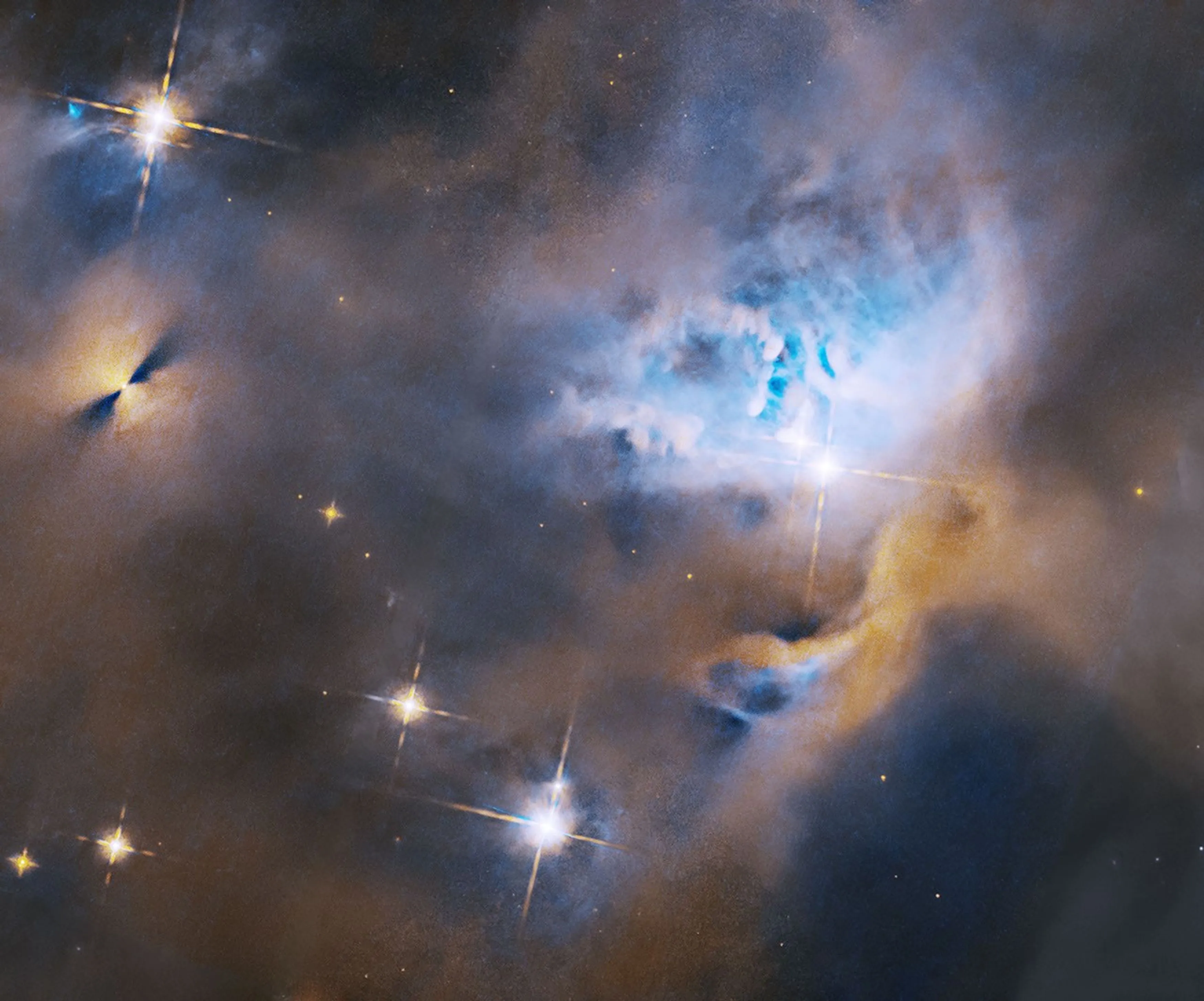 Hubble Nets Menagerie of Young Stellar Objects