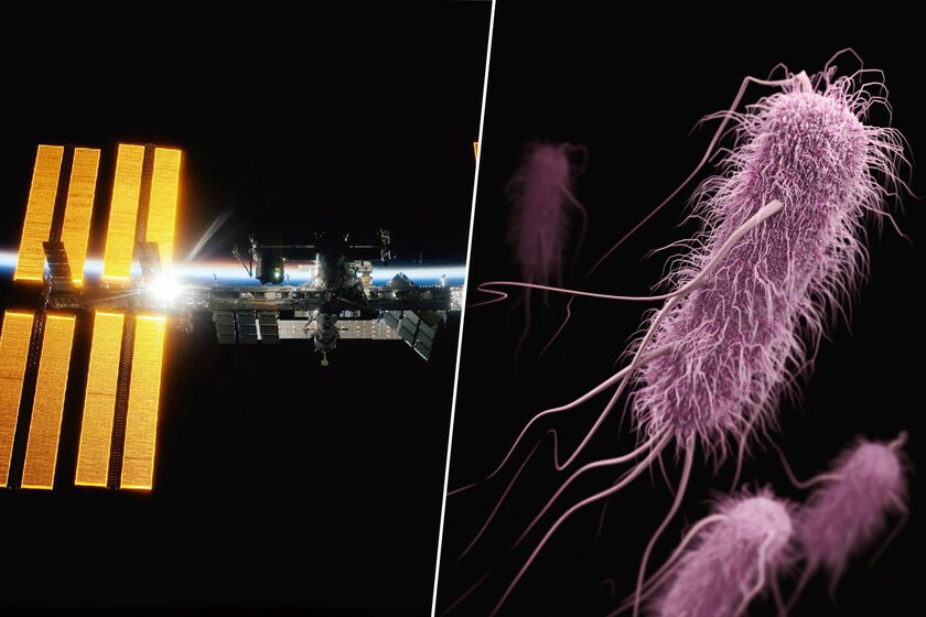 Llevamos años buscando nuevas armas contra las superbacterias. Hemos diseñado una a 400 km de altura