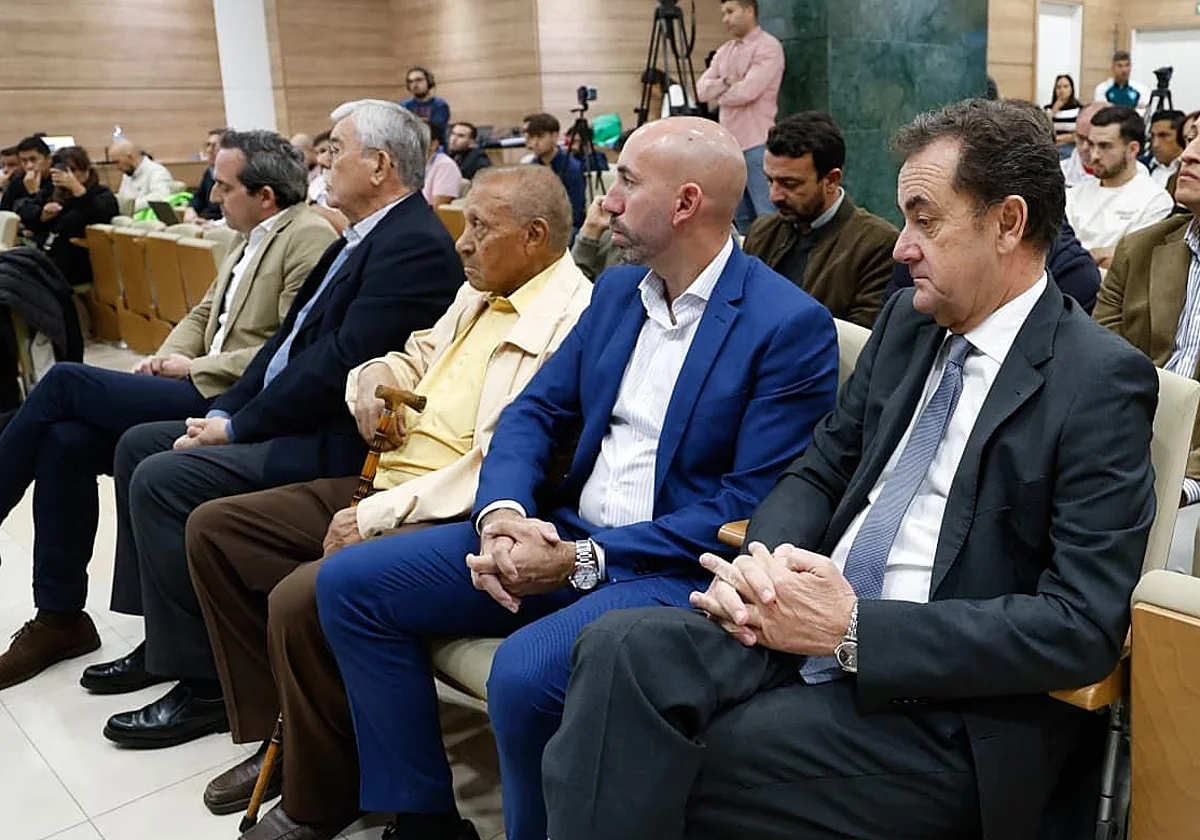 El consejo consultivo del Málaga, ahora formado por tres integrantes