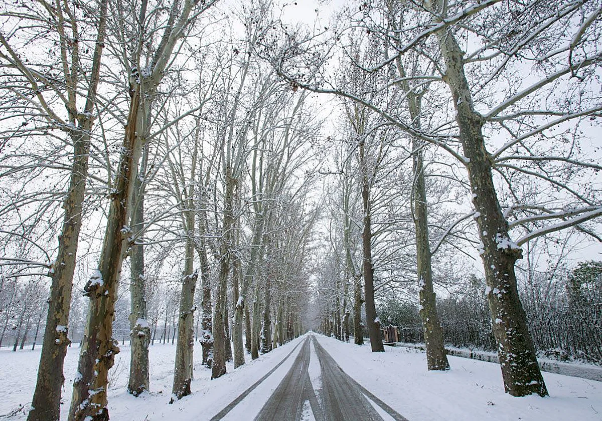 Nieve y hielo negro: cómo conducir seguro con neumáticos de invierno