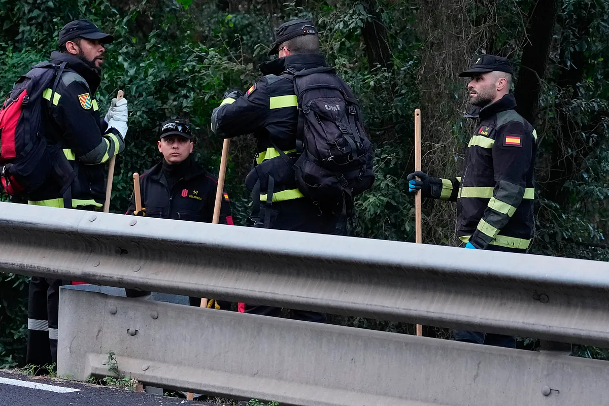 La peste porcina, sobre el terreno: se extiende el radio de acción y llegan los primeros despidos