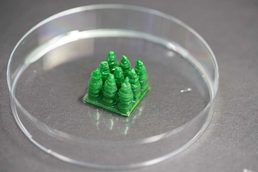 En Suiza creen haber encontrado un sustituto del hormigón: está vivo, crece y se repara solo