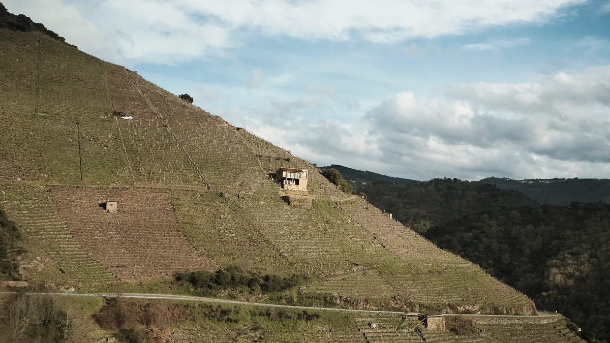 Las bodegueras heroicas de la Ribeira Sacra