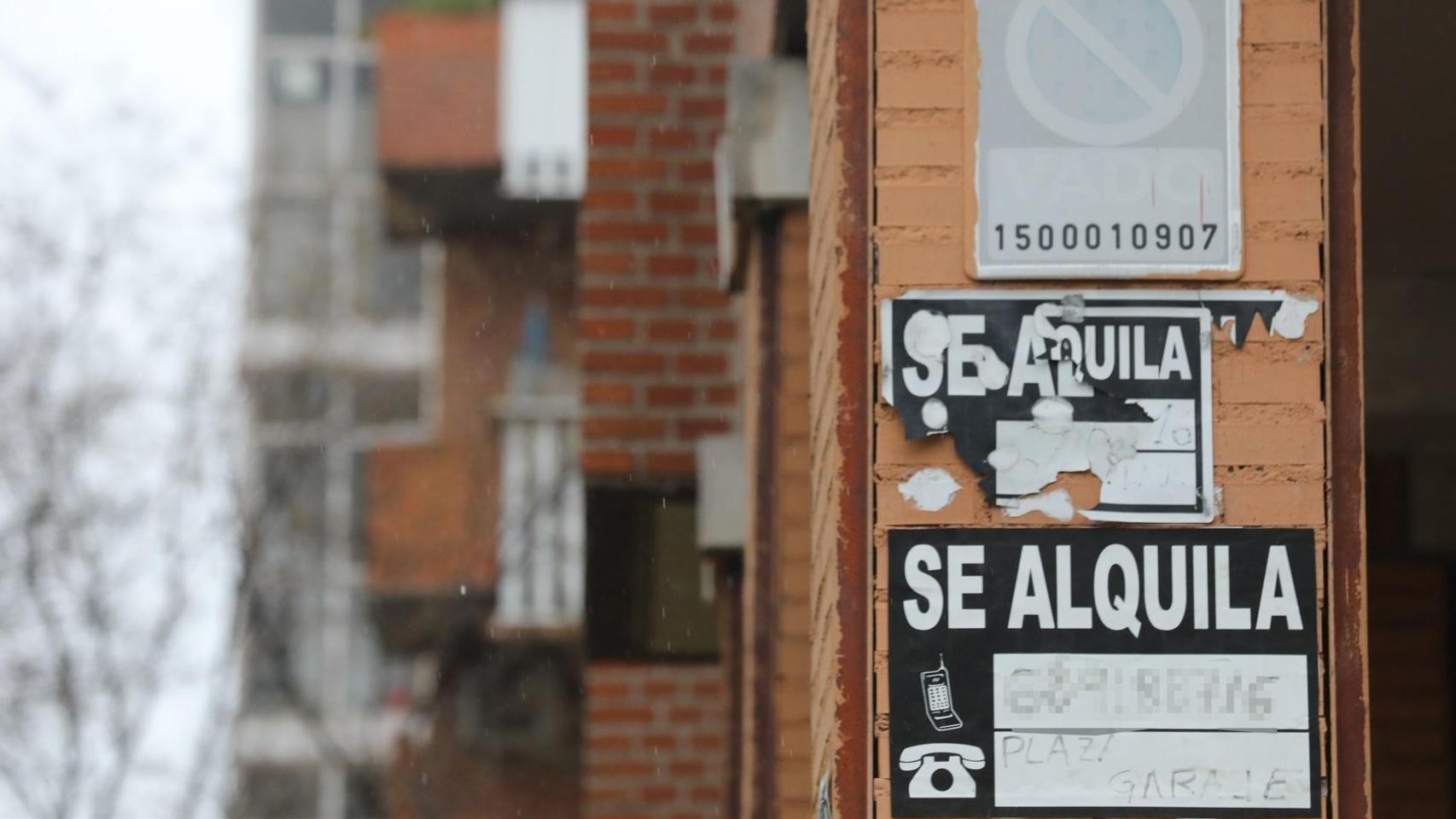 La crisis del alquiler empeora: un tercio de inmobiliarias ya no capta pisos tras perder casi 130.000 viviendas en dos años