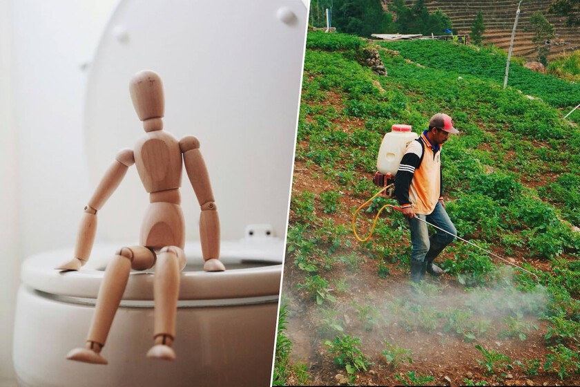 La pregunta no es si defecas glifosato, sino cuánto glifosato defecas. Llevamos toda la vida midiendo mal este popular herbicida