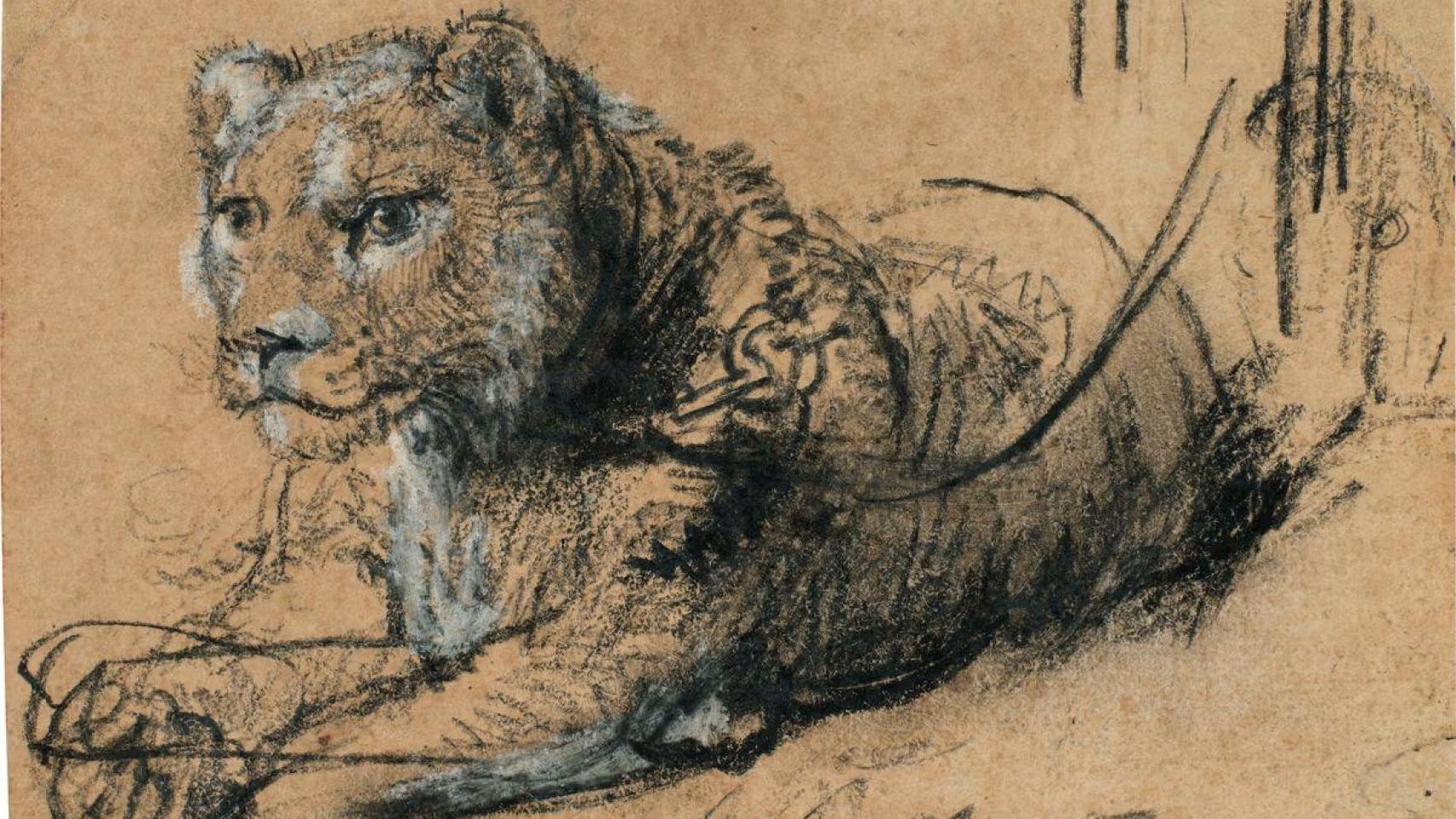 Sale a subasta uno de los dibujos más caros de la historia: un Rembrandt de 20 millones de dólares