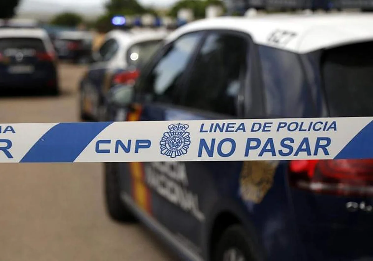 UPDATE Malaga crime: minor becomes fourth suspect in promenade knife attack