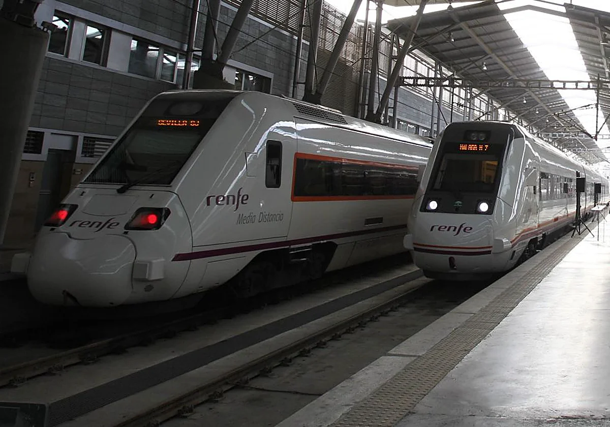 Renfe suprime varios trenes de media distancia en Málaga por la alerta roja