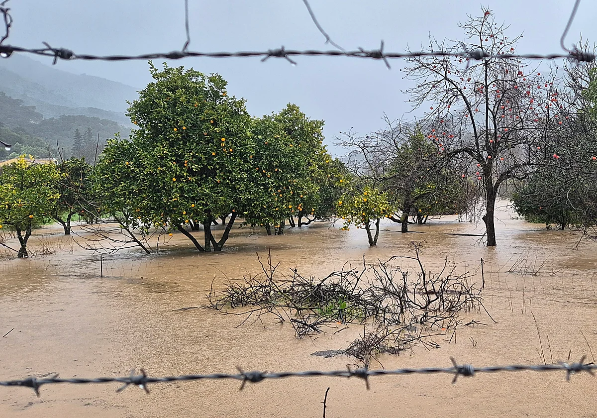 El Guadiaro, otra vez en máximo histórico, y el Genal ponen en jaque a la comarca de Ronda