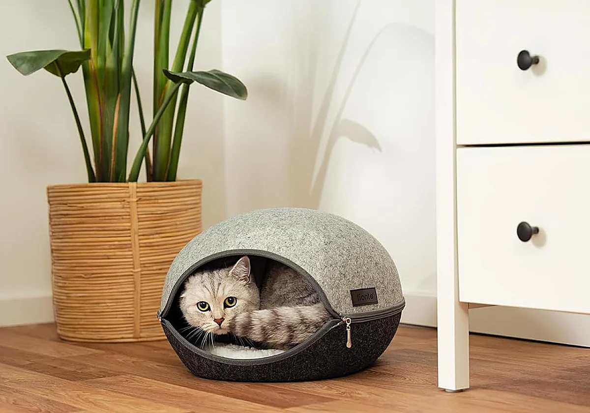 No te pierdas esta selección de refugios, camas y mantitas para gatos y perros