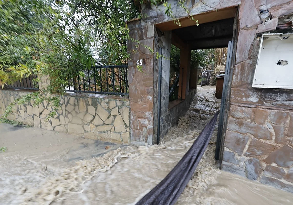 Malaga floods: Serranía de Ronda land 'cannot absorb any more water'
