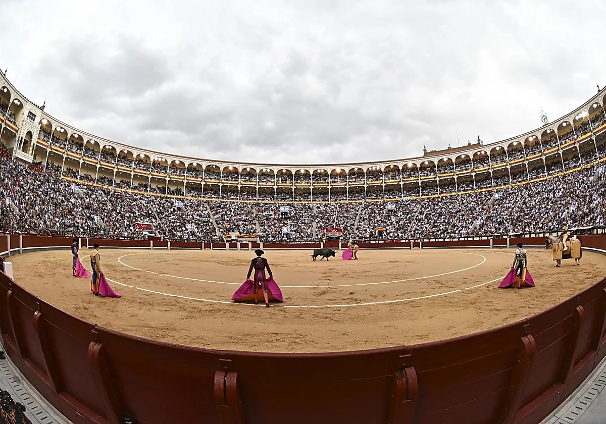 La ONU insiste para que España prohíba la asistencia de menores a las corridas de toros
